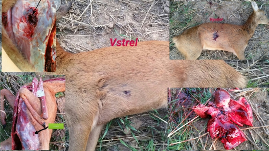 prebijaný Interbond 85 gr-243w