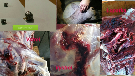 Prebíjaný Interbont -243w