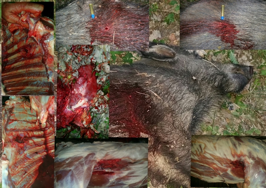 45-70 gov.prebíjany Ares 19.4 g