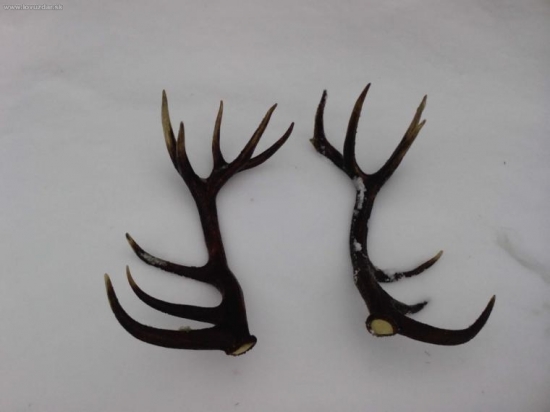 po 2 tyzdnoch dovolenky:-))