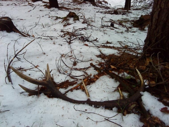 prvy den dovolenky :-) no skoda ze nie tohorocne ale potesi
