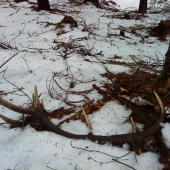 prvy den dovolenky :-) no skoda ze nie tohorocne ale potesi