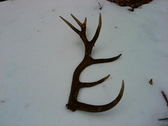 a uz vonka   z pod snehu