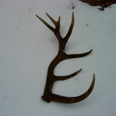 a uz vonka   z pod snehu