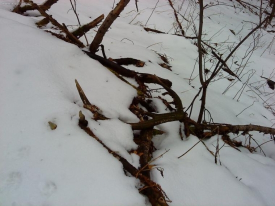 3kg ale musel lezat asi zo2-3 roky