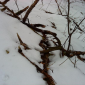 3kg ale musel lezat asi zo2-3 roky