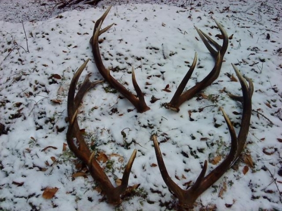 po hodine chodenia:-)