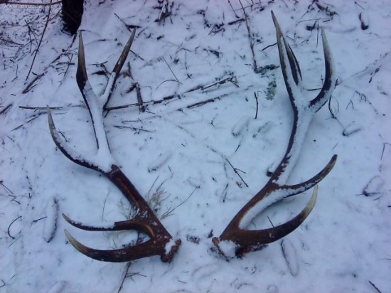 po 15 min  no darilo sa :-)