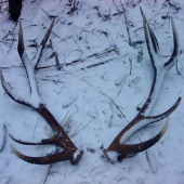 po 15 min  no darilo sa :-)