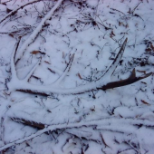 skoro som ho nezbadal