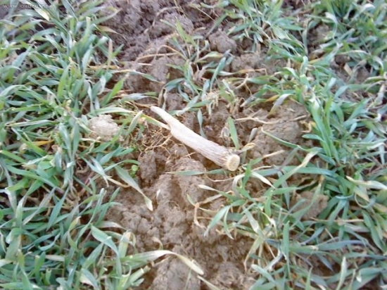 prvy v tomto roku:-)