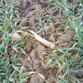 prvy v tomto roku:-)