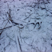 pekny pohlad o 11 dobedu:-)