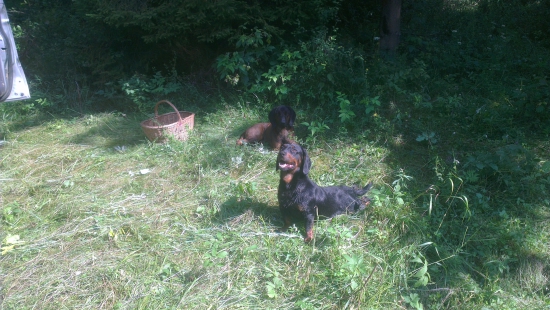 Najlepší kamaráti