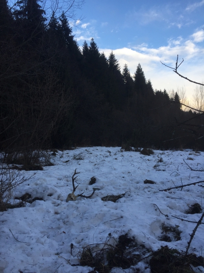 Nedokázal im uniknúť