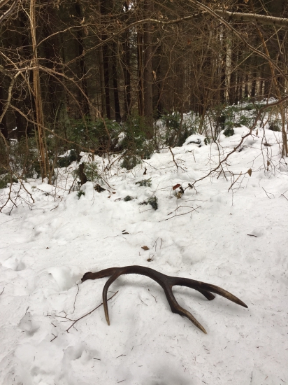 Kto hľadá ten nájde