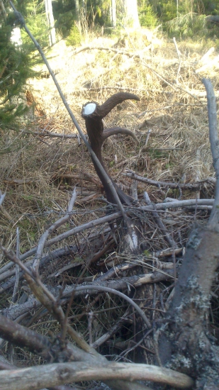 spomienka na rok 2014