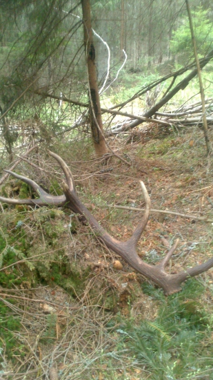 ten ma potešil po mesiaci dohladani