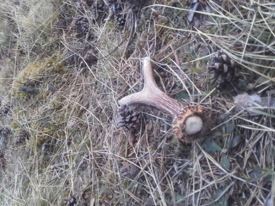 keď nehladaš vtedy sa poštasty