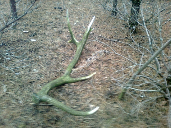 dnesni ale minulorocny