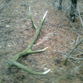 dnesni ale minulorocny