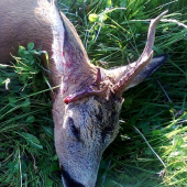 Už sa neviem dočkať novej sezóny...