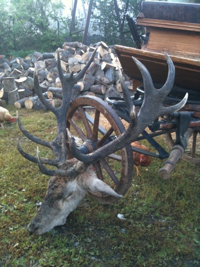 spomienka na jesen 2010