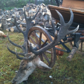 spomienka na jesen 2010