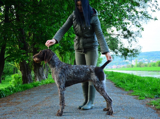 Era z Hájového potoka