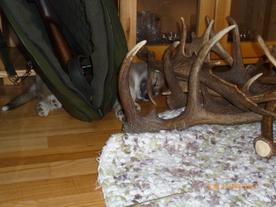 Dobre som si vybrala?