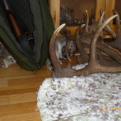 Dobre som si vybrala?