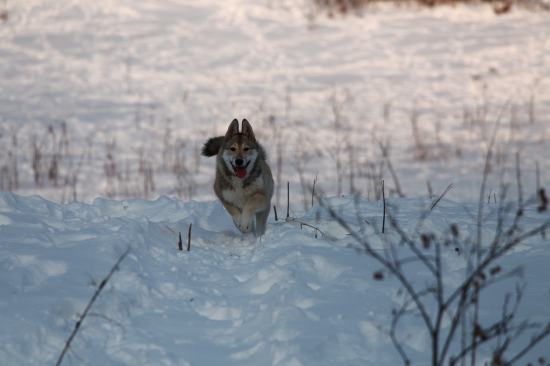 Po úraze v plnej sile !