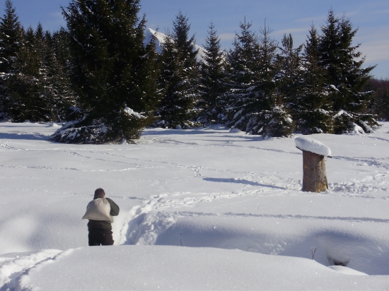 prikrmovanie PR Bystrá