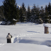 prikrmovanie PR Bystrá