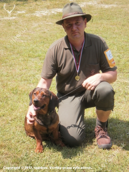 Výstava psov Sielnica 2012