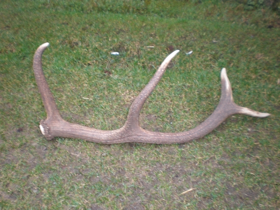 za dazda... ale potesil