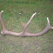 za dazda... ale potesil