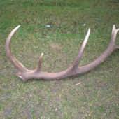 darcek k meninam :D 2