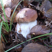 image02