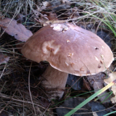 image04