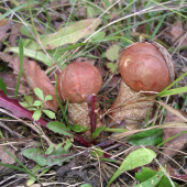 image05