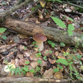image06