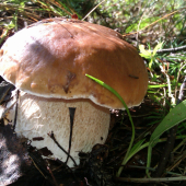 image07