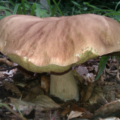 image08