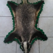 Jazvec