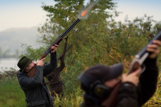 Poľovačka na kačice