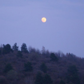 V čera 18.30....páči....