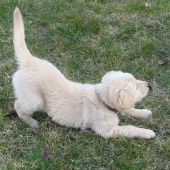 Bude s teba niečo..