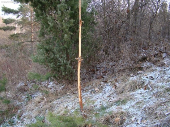 Toto po ňom ostalo....