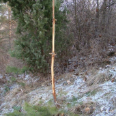 Toto po ňom ostalo....